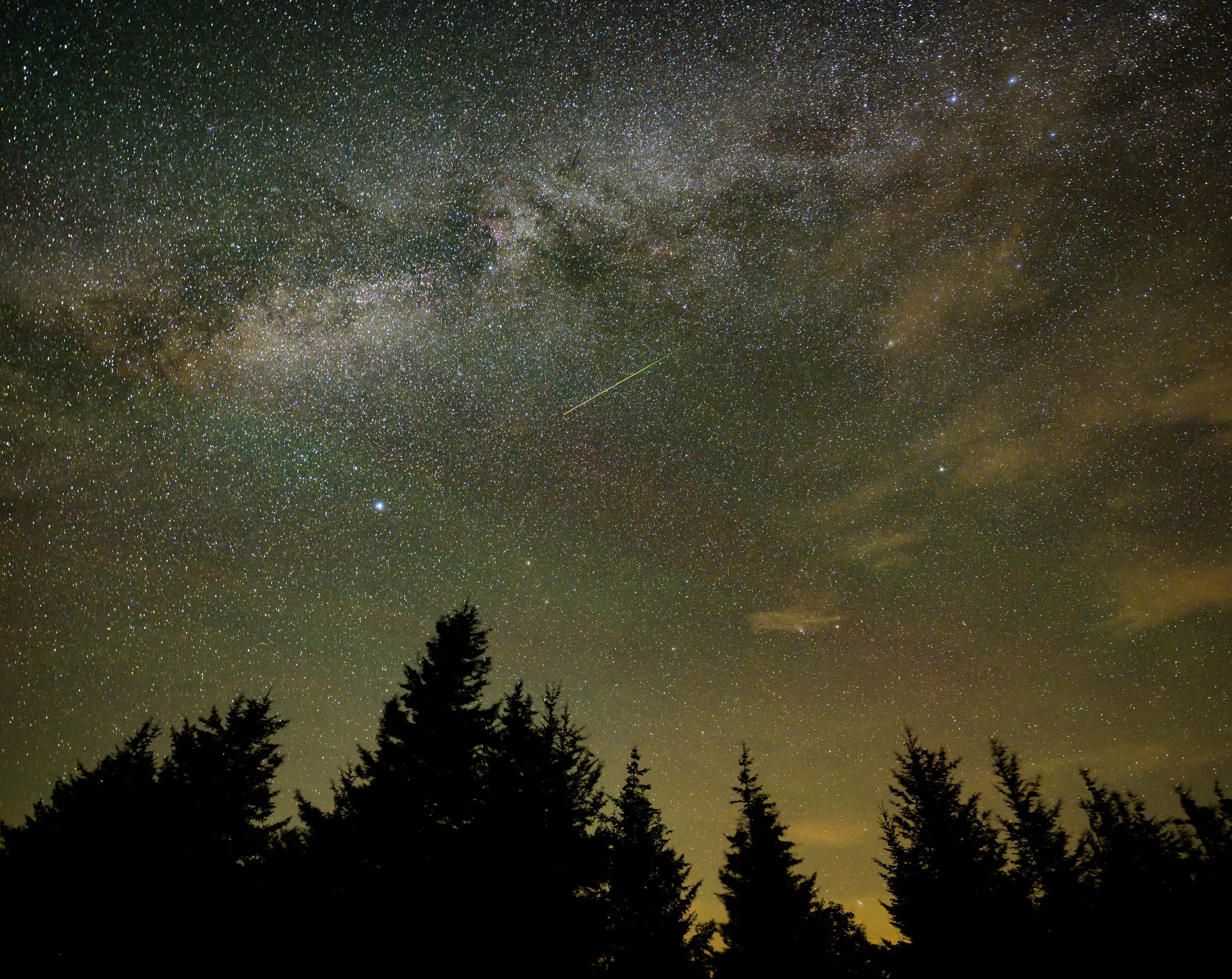 A faint meteor streak across a star-filled sky above silhouetted spruce trees.